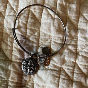 Alex and ani compass bronze